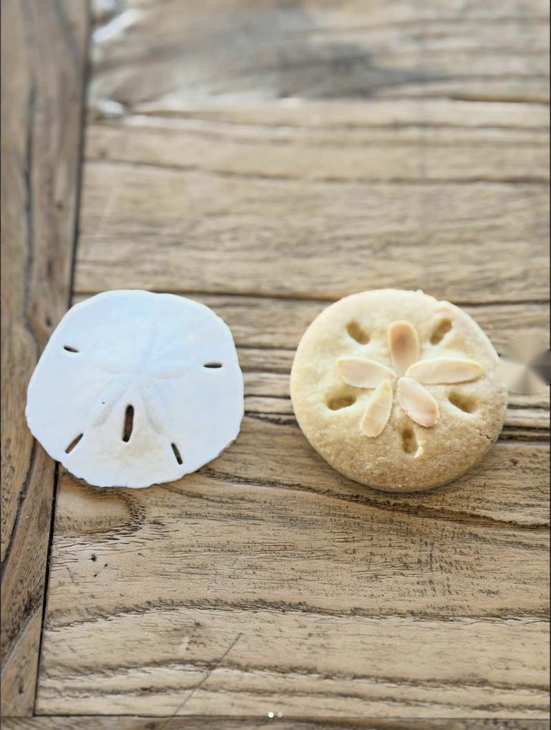 Kaka formad som en sanddollar